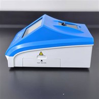 Icipimilo ca bulwele icauma ica musango umo